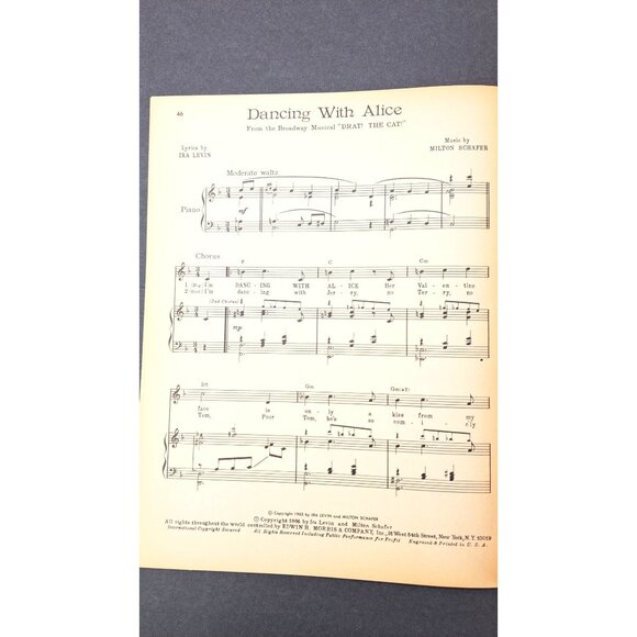 Vintage Drat The Cat Musical Songbook Vocal Sheet Music Book 1966 First Edition - Picture 8 of 8